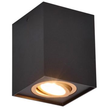 Trio BISCUIT 613000180 Natáčané downlight svetlo 1x35w/gu10 ip20