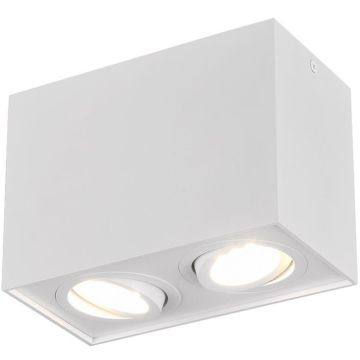 Trio BISCUIT 613000231 Natáčané downlight svetlo 2x35w/gu10 ip20