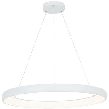 Zambelis PENDANT LED 2061 Závesná lampa 60W/led 3000K 4800lm IP20