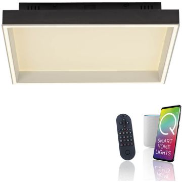 Paul Neuhaus Q-MAGONG 6316-18 Stropná lampa 1x40W/LED 2700-5000k 5700lm ip20