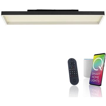 Paul Neuhaus Q-MAGONG 6317-18 Stropná lampa 1x52W/LED 2700-5000k 5800lm ip20