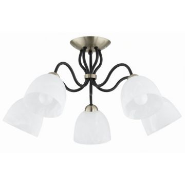 Alfa ARIEL 63428 Stropná lampa 5x15W/E27