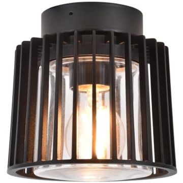 Lutec SHYNE 6397501012 Stropná lampa 1x25w/e27 ip54