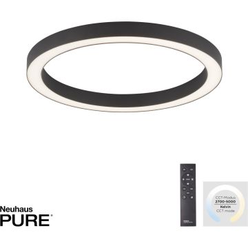 Paul Neuhaus PURE-LINES 6309-13 Stropná lampa 1x30W/LED 2700-5000k 2800lm ip20