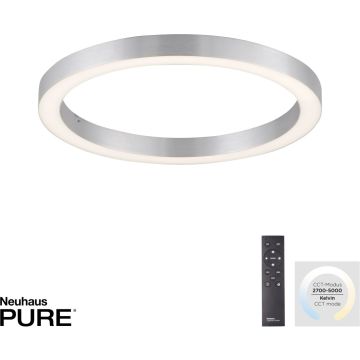 Paul Neuhaus PURE-LINES 6309-95 Stropná lampa 1x30W/LED 2700-5000k 3300lm ip20