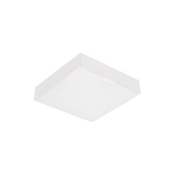 Prezent CANTO SQ 63215 Stropné svietidlo 1x10W/LED 800lm IP20
