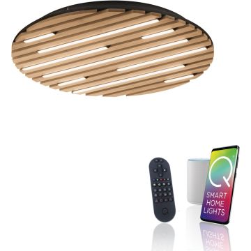 Paul Neuhaus Q-AKUSTIK 6421-79 Stropná lampa 1x38W/LED 2700-5000k 3360lm ip20