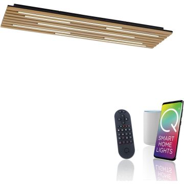 Paul Neuhaus Q-AKUSTIK 6422-79 Stropná lampa 1x48W/LED 2700-5000k 4440lm ip20