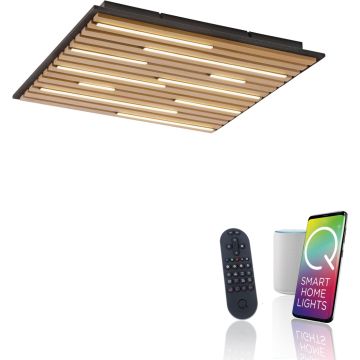 Paul Neuhaus Q-AKUSTIK 6423-79 Stropná lampa 1x35W/LED 2700-5000k 3240lm ip20