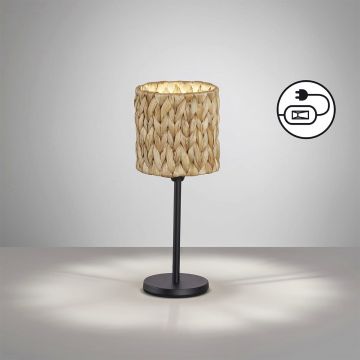 Fischer&Honsel Hyazinthe 50678 Stolná lampa 1x25W/E14 IP20