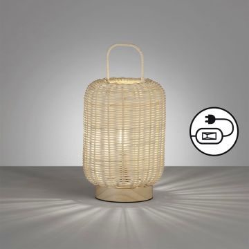Fischer&Honsel Nature 50738 Stolná lampa 1x25W/E14 IP20