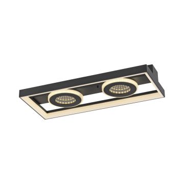 Paul Neuhaus TRAFORO 6854-18 Stropné svietidlo 1x20W/LED 2700K-5000K 600lm IP20