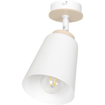 Emibig ATLAS 724/1 Bodové svetlo 1x60W/E27 IP20