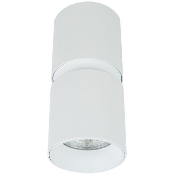 Zambelis CEILING SPOT S159 Natáčané downlight svetlo 1x40w/GU10 IP20