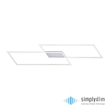 Paul Neuhaus INIGO 8194-55 Stropné svietidlo 2x20W/LED 3000K 2700LM IP20