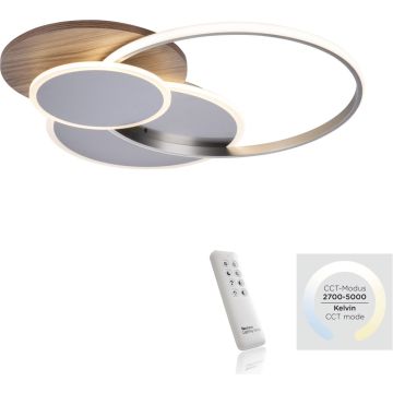 Paul Neuhaus PALMA 8328-79 Stropná lampa 1x55W/LED 2700-5000k 6000lm ip20