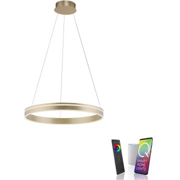 Paul Neuhaus Q-VITO 8411-60 Závesná lampa 1x44W/LED 2700-5000k 4550lm ip20