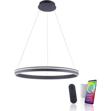 Paul Neuhaus Q-VITO 8412-13 Závesná lampa 1x65W/LED 2700-5000k 7000lm ip20