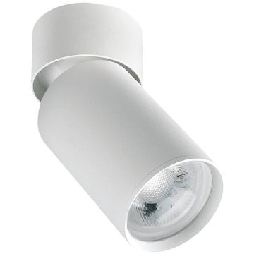 Zambelis CEILING SPOT S123 Natáčané downlight svetlo 1x40w/GU10 IP20
