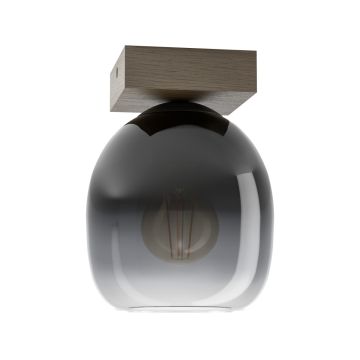 Eglo FILAGO 900825 Stropná lampa 1x40W/E27 IP20