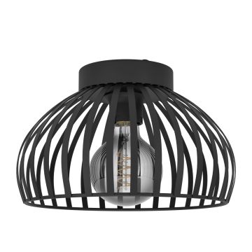 Eglo MOGANO 900792 Stropné svietidlo 1x40W/E27 IP20
