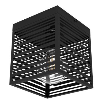 Eglo PIEDRITAS 900355 Stropné svietidlo 1x40W/E27 IP20