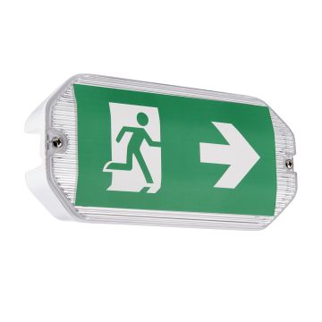 Endon SIGHT ECO 91358 Núdzová lampa 3W/LED 6500K 220LM IP65