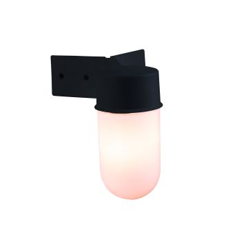 Endon WARE EL-40088 Stena svietidlo 40W/E27 IP44