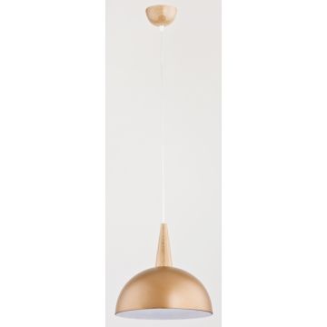 Alfa ANJA 9649 Závesná lampa 1x60W/E27
