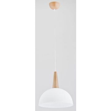 Alfa FOTYN 9725 Závesná lampa 1x60W/E27 IP20