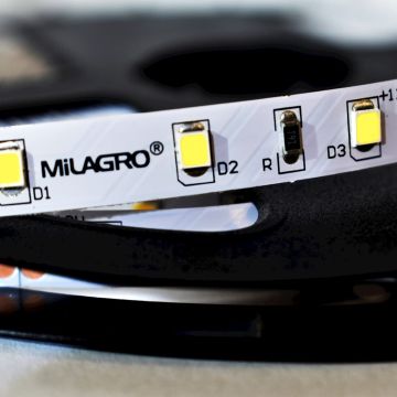 Milagro LED STRIP ML4747 LED pásik 24W/500cm IP20