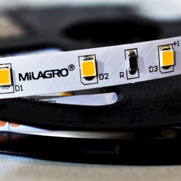 Milagro LED STRIP ML4749 LED pásik 24W/500cm IP20