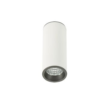 Italux MOLDES SLC7391/7W 4000K WH+GR Natáčané downlight svetlo 1x7W/LED 450LM IP20