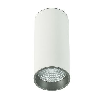 Italux MOLDES SLC7392/12W 4000K WH+GR Natáčané downlight svetlo 1x12W/LED 820LM IP20