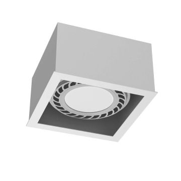 Antigo Cage 1272 Natáčané downlight svetlo 1x15W/Gu10 IP20
