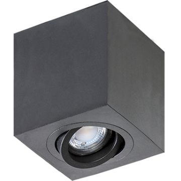 AZzardo BRANT AZ2825 Natáčané downlight svetlo 1x50W/GU10 IP20