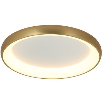 Zambelis CEILING LED LAMP 2058 Stropné svietidlo 55W/led 3000K 4080lm IP20