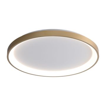 Italux Raden CLN-3151-M-GD Stropné svietidlo 1x50W/LED 3000K|4000K|6000K 2900lm IP20