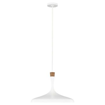 Feiss DARWIN FE-DARWIN-P Závesná lampa 1x60W/E27