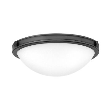 Hinkley Lighting Collier HK-COLLIER-F-S-BX Stropné svietidlo 2x40W/E27 IP20
