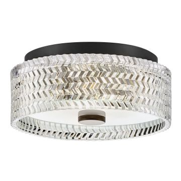 Hinkley Lighting Elle HK-ELLE-F-S-BK Stropné svietidlo 2x60W/E27 IP20