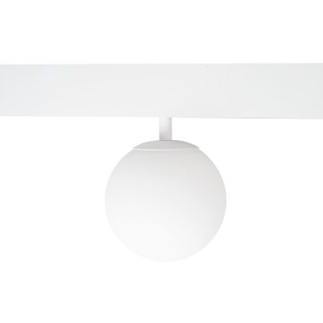 Maxlight MAX M0044Z Koľajnicový reflektor 1x5.4w/led 2700-5000k 334lm ip20