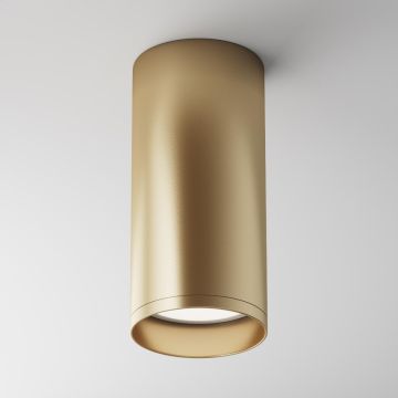 Maytoni FOCUS C010CL-01MG Natáčané downlight svetlo 1x50W/GU10 IP20