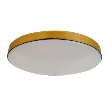Milagro MAYA ML7790 Stropné svietidlo 1x15W/LED 4000K 1650lm IP44