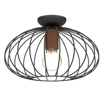 Milagro MERIDIANO MLP7958 Stropná lampa 1x60W/E27 IP20