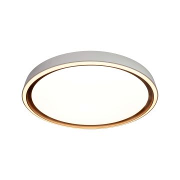 Italux Rende PLF-63728-3K4K6K-GD-WH-SL Stropné svietidlo 1x47W/LED 3000K|4000K|6000K 6500lm IP44
