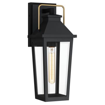 Quoizel Buckley QZ-BUCKLEY-M-MBK Stena svietidlo 1x40W/E27 IP44