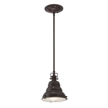 Quoizel EASTVALE QZ-EASTVALE-P-S Závesná lampa 1x60W/E27