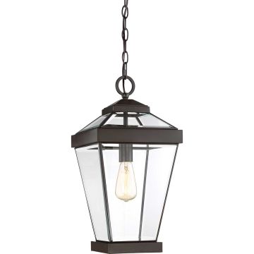 Quoizel RAVINE QZ-RAVINE8-L Závesná lampa 1x60W/E27 IP44