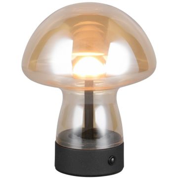 Trio DOOLEY R54981113 Stolná lampa 1x1.5w/led 3000k 140lm ip20